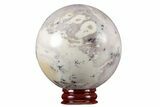 Polished Dendritic Agate Sphere - Madagascar #218926-1